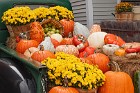 Harvest_Display_at_the_Vermont_Country_Store.jpg