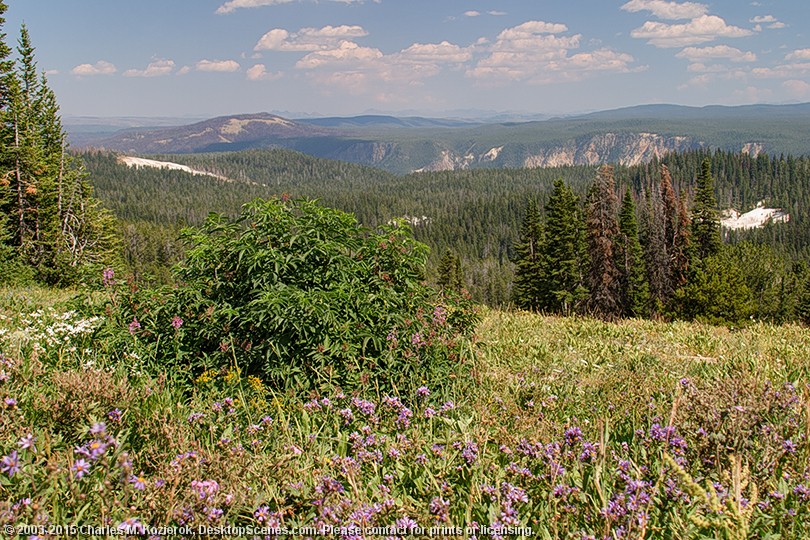 yellowstone caldera twin